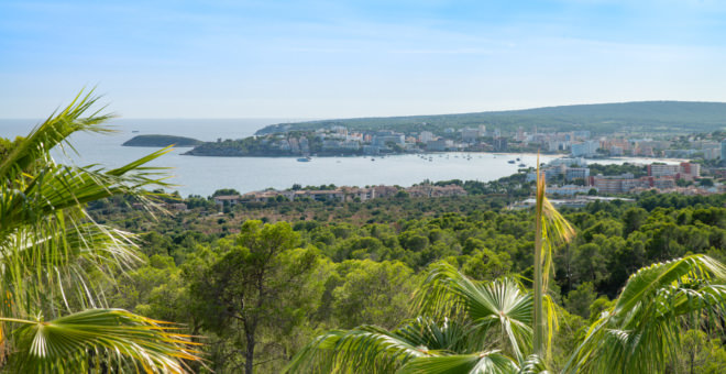 immobilien mallorca,luxusimmobilien mallorca,immobilienmakler mallorca,immobilien palmanova,villa kaufen palmanova,finca kaufen palmanova,palmanova haus kaufen,palmanova villa kaufen,palmanova immobilien,luxusapartments palmanova,wohnung kaufen palmanova,palmanova wohnung kaufen,haus kaufen Palmanova,mallorca magazin,finca kaufen mallorca,luxusimmobilien Palmanova,immobilienmakler Palmanova,villa kaufen mallorca,immobilien kaufen Palmanova