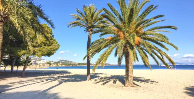 immobilien mallorca,luxusimmobilien mallorca,immobilienmakler mallorca,immobilien palmanova,villa kaufen palmanova,finca kaufen palmanova,palmanova haus kaufen,palmanova villa kaufen,palmanova immobilien,luxusapartments palmanova,wohnung kaufen palmanova,palmanova wohnung kaufen,haus kaufen Palmanova,mallorca magazin,finca kaufen mallorca,luxusimmobilien Palmanova,immobilienmakler Palmanova,villa kaufen mallorca,immobilien kaufen Palmanova