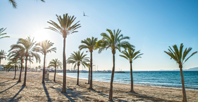 immobilien mallorca,meerblick villa mallorca,meerblick villa palma de mallorca,immobilien palma de mallorca,meerblick villa kaufen,playa de palma villa kaufen,immobilien Playa de Palma,haus kaufen Playa de Palma,villa kaufen Playa de Palma,mallorca magazin,finca kaufen mallorca,finca kaufen Playa de Palma,luxusimmobilien Playa de Palma,immobilienmakler Playa de Palma,wohnung kaufen Playa de Palma,villa kaufen mallorca,immobilien kaufen Playa de Palma