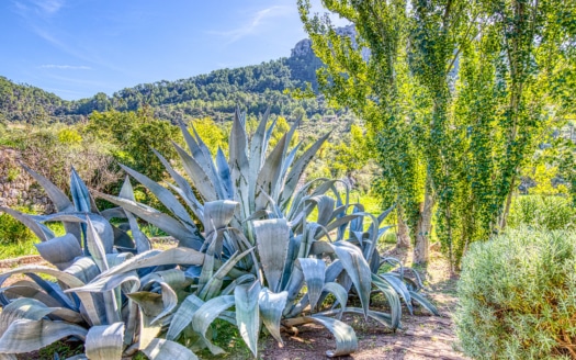 4938 Country house on large plot near Esporles with pool and stunning mountain v