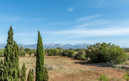 5089 Moderne Finca in Santa Eugenia mit Blick auf die Berge 27