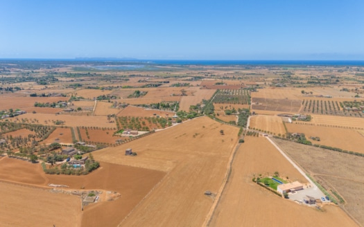 5114 Moderne Finca in Campos mit Olivenbaum-Plantage und großem Pool 2