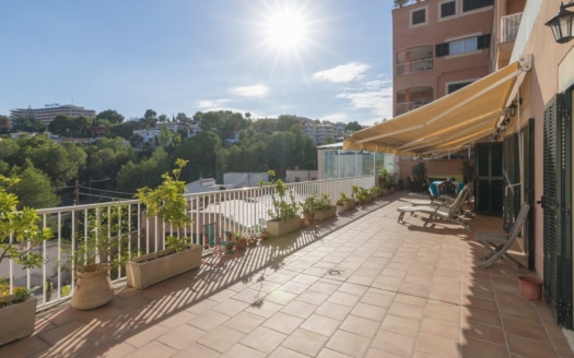 A-2556 Lichtdurchflutetes Apartment in El Terreno mit herrlichem Ausblick