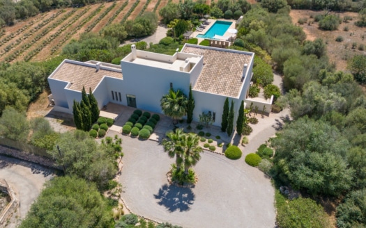 5012 Designer Finca in Ses Salines mit großem Pool, Privatsphäre, Fernblick & Ferienvermietungslizenz! 3