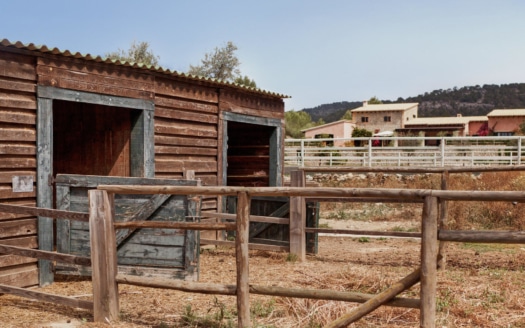 F-842 Traumhafte Finca in Calvia mit großer Pool-Landschaft, Gästehaus und herrlichem Fernblick 43