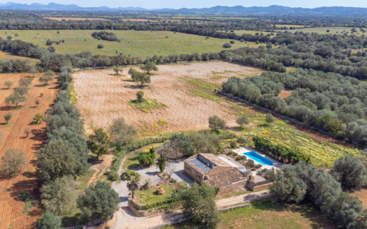 F-4545 Finca in Porreres mit Ferienvermietungslizenz, Privatsphäre UND eigenem Weinberg