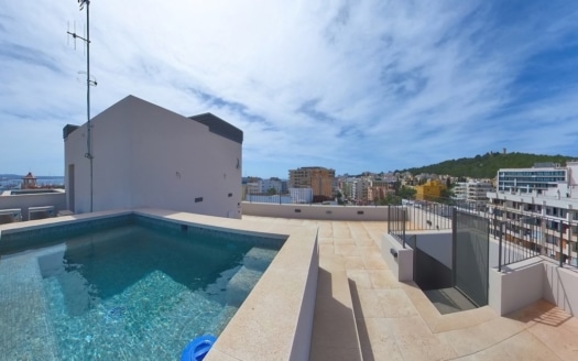 P-3637_9 Fantastisches Penthouse in Son Armadams mit Dachterrasse und privatem Pool 11