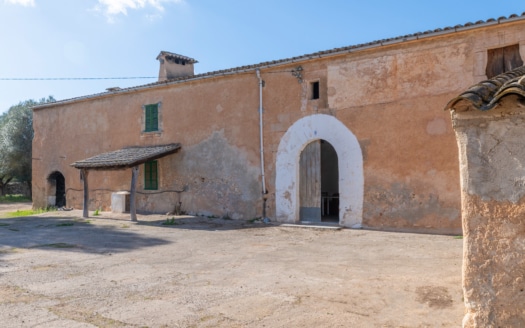 5209- Finca in Vilafranca De Bonany5