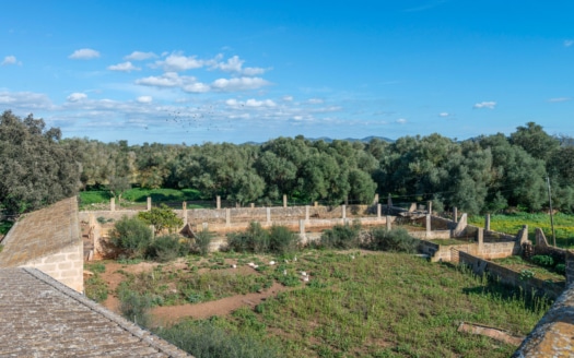 5209- Finca in Vilafranca De Bonany40