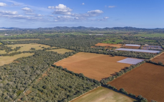 5209- Finca in Vilafranca De Bonany20